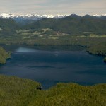 Great Bear Rainforest in B.C.