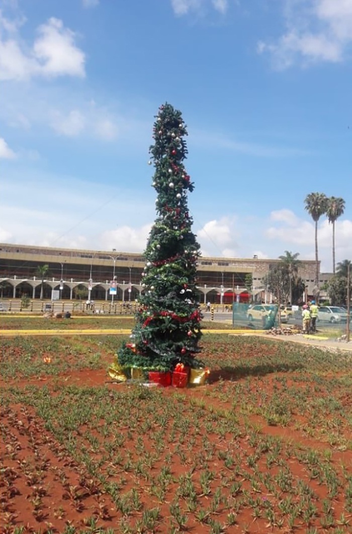 Albero Di Natale Kenia.Anche Nairobi Ha Il Suo Albero Spelacchio E Ironia Sul Web Dire It