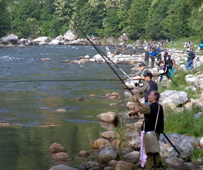 Pesca-sportiva