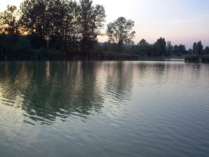 laghi inquinati