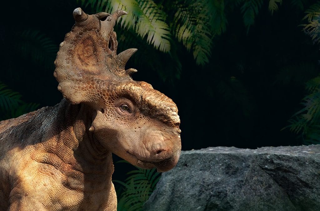 Triceratopo dinosauro