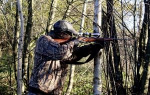 cacciatore caccia fucile bosco