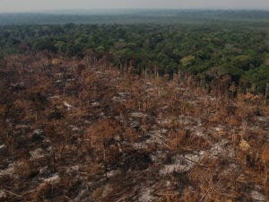 deforestazione amazzonia(1)