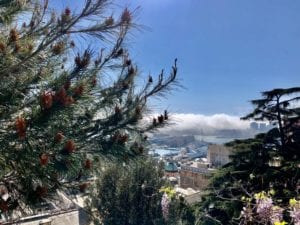 Genova nebbia caligo