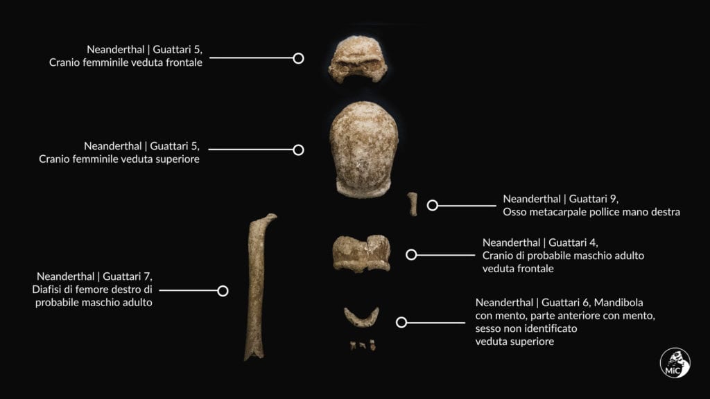neanderthal circeo