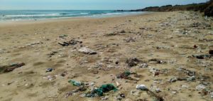 inquinamento mare plastica