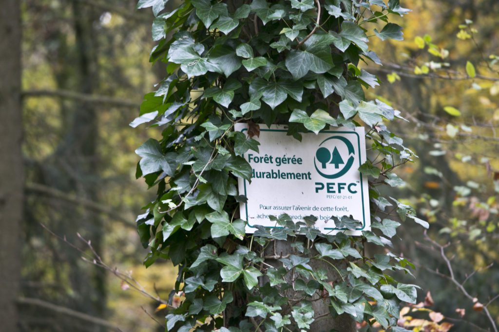 certificazione Pefc foreste amiche