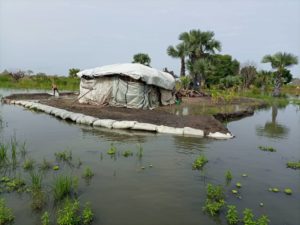 sud sudan alluvioni