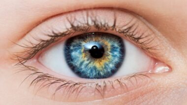 retina occhio vista