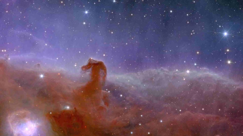 La Nebulosa Testa di Cavallo