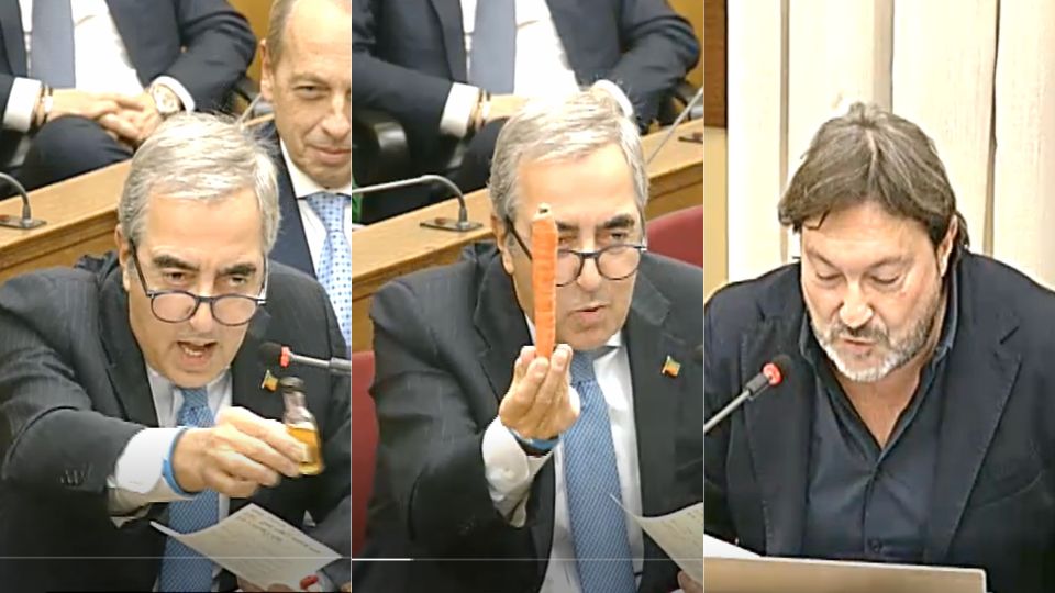 gasparri-ranucci-commissione-vigilanza-carota