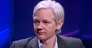 julian assange screenshot