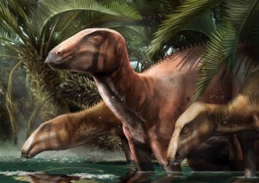 dinosauri immagine di davide bonadonna